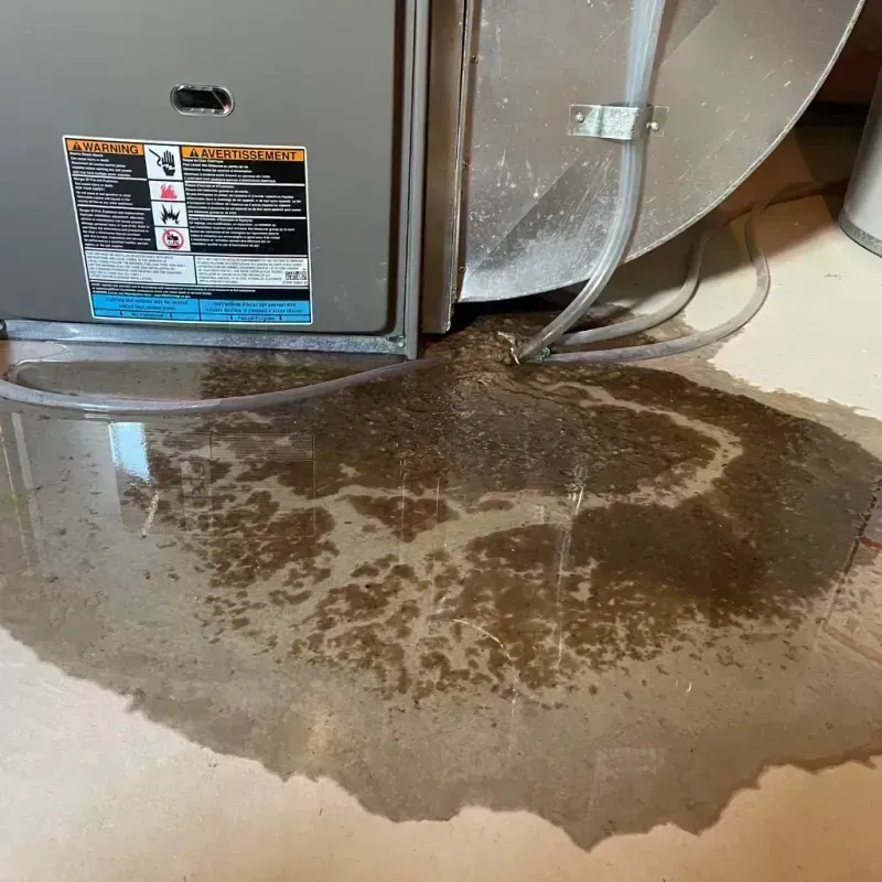 Appliance Leak Cleanup in Silverton, TX